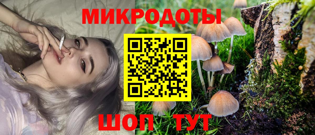 Галлюциногенные грибы прущие грибы  Вход с VPN  что такое   Курчалой 