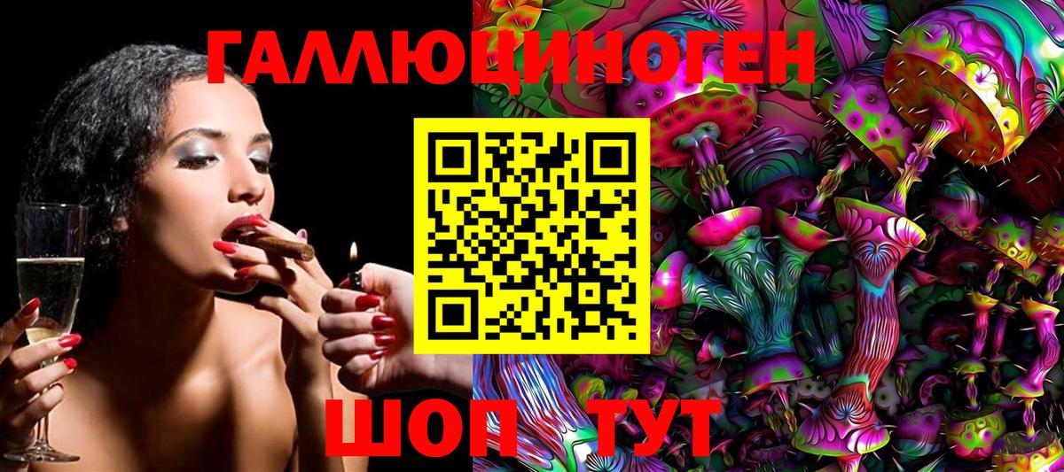 Галлюциногенные грибы Magic Shrooms Курчалой