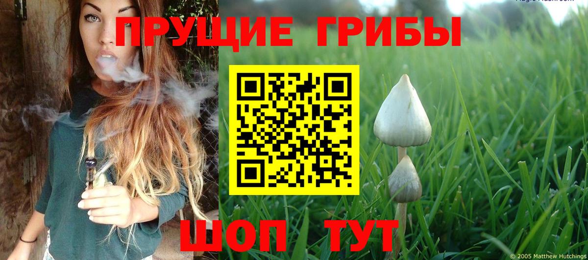  Cocaine Курчалой